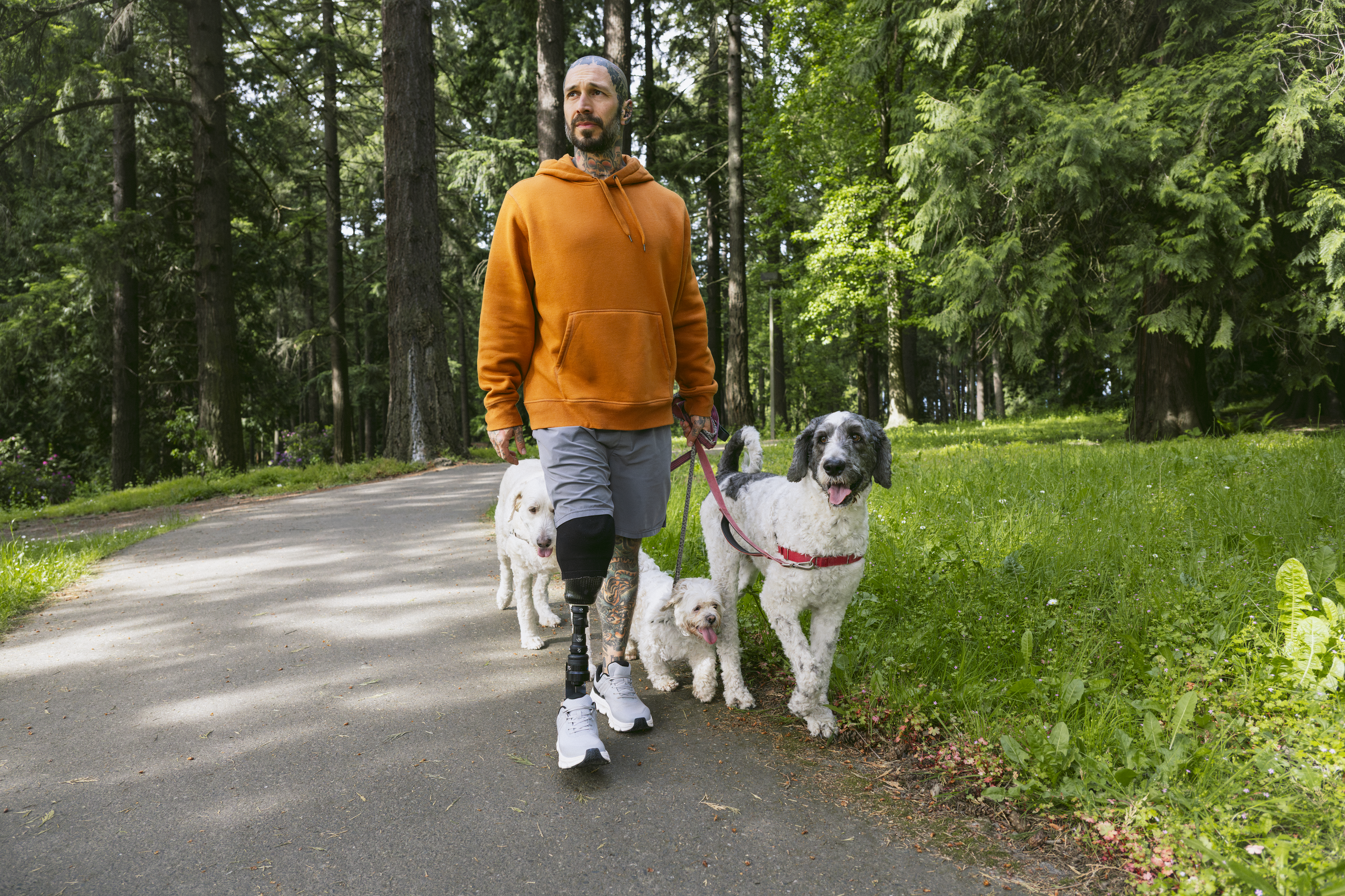 Man walking dogs in park.